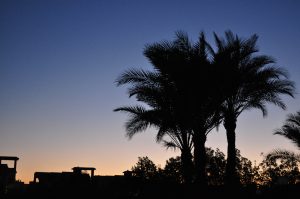 Sonnenuntergang in Ägypten, Foto: Afaf Askari